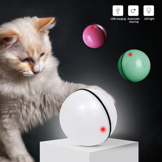 LED Rolling Toy Ball